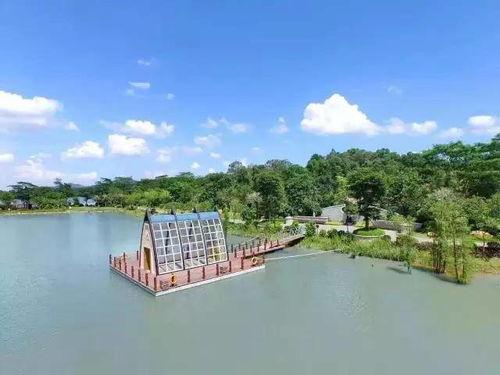 玉圭园最新爆料新闻,揭秘神秘项目背后的惊人真相